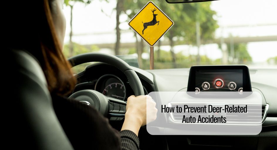 Car Insurance in Fort Wayne, Portland, IN, New Haven, IN, Bluffton, IN and Nearby Cities