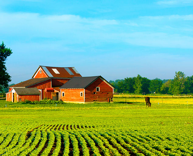 Farm Insurance in Fort Wayne, Decatur, IN, Bluffton, IN, Portland, IN and Surrounding Areas
